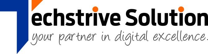 TechStrive Solution